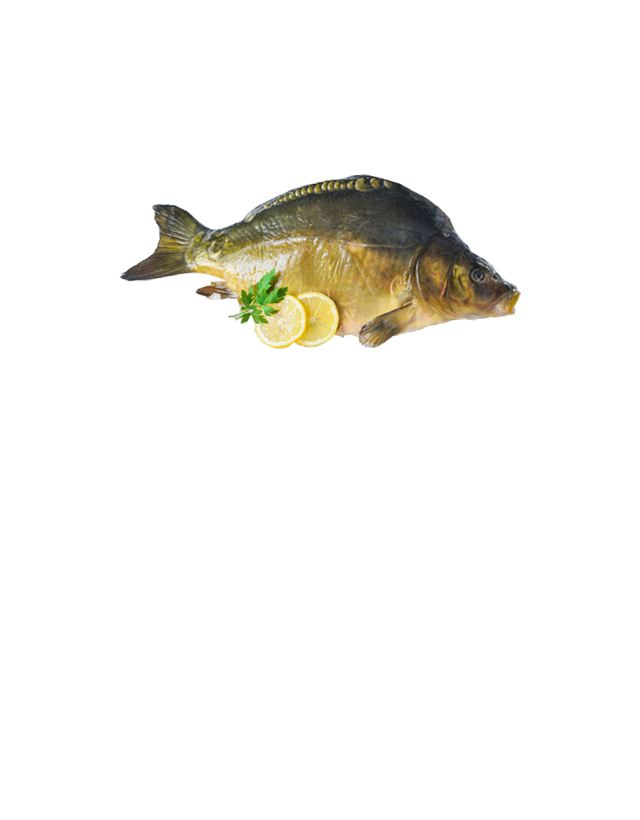 Karpfen