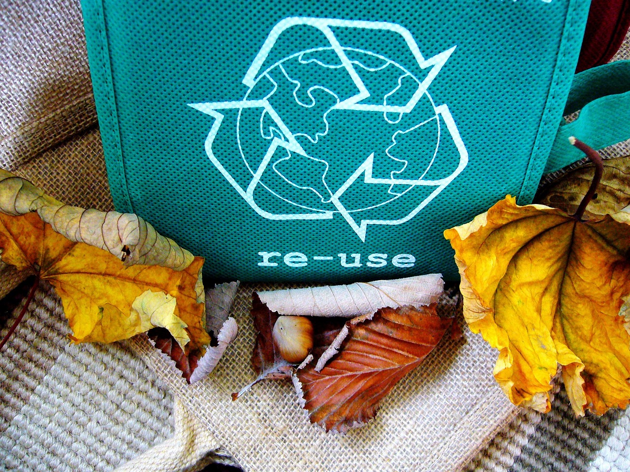 Recycling Recycling-Symbol neben trockenen Blättern