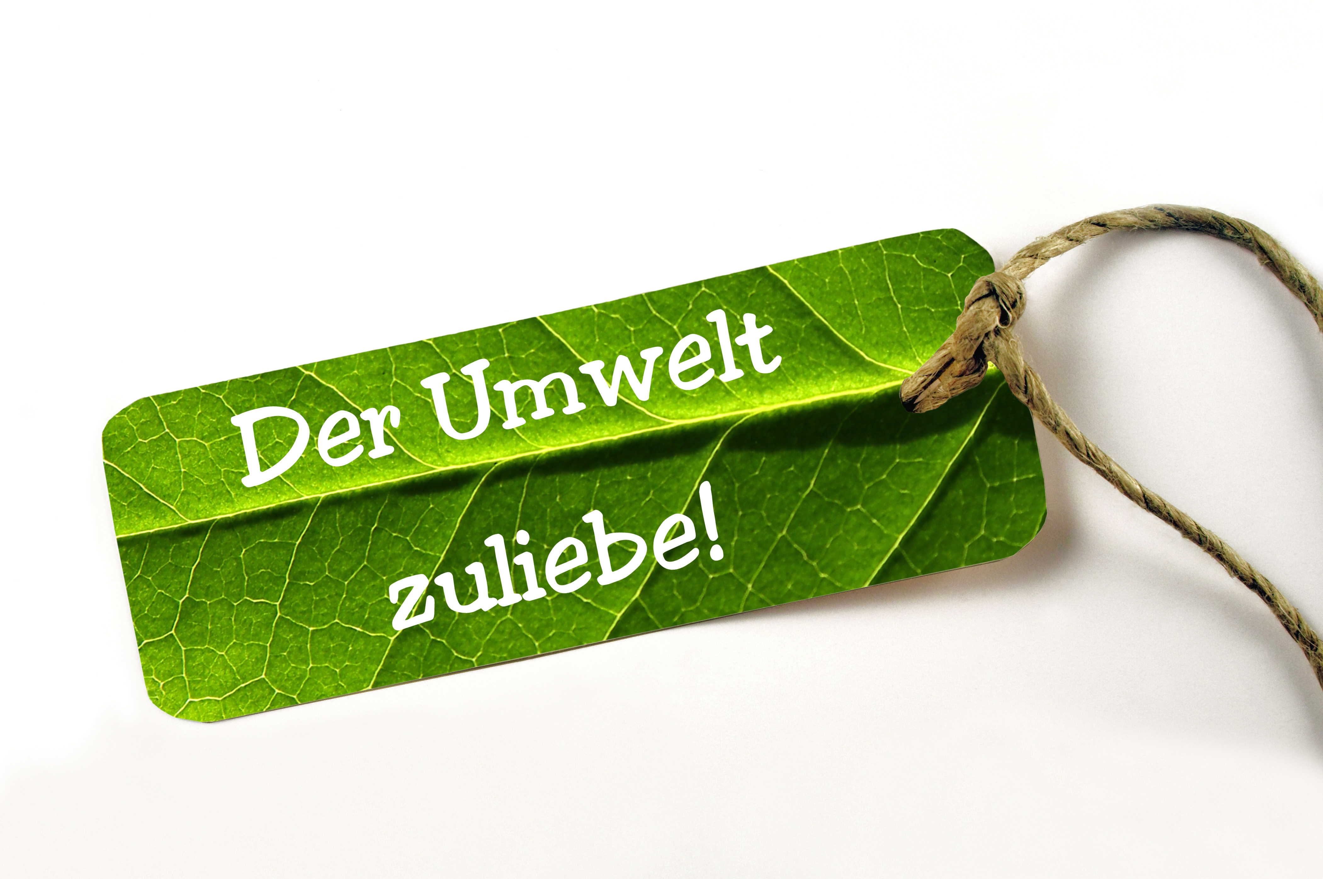 Umweltfreundlich Grünes Etikett mit Schnur