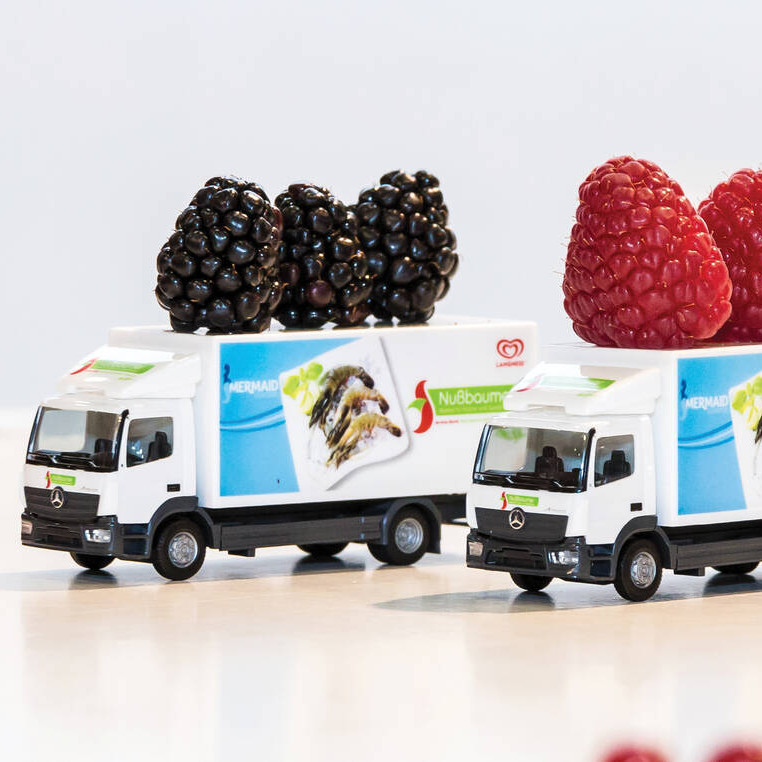 Nußbaumer Spielzeug LKW mit Beeren