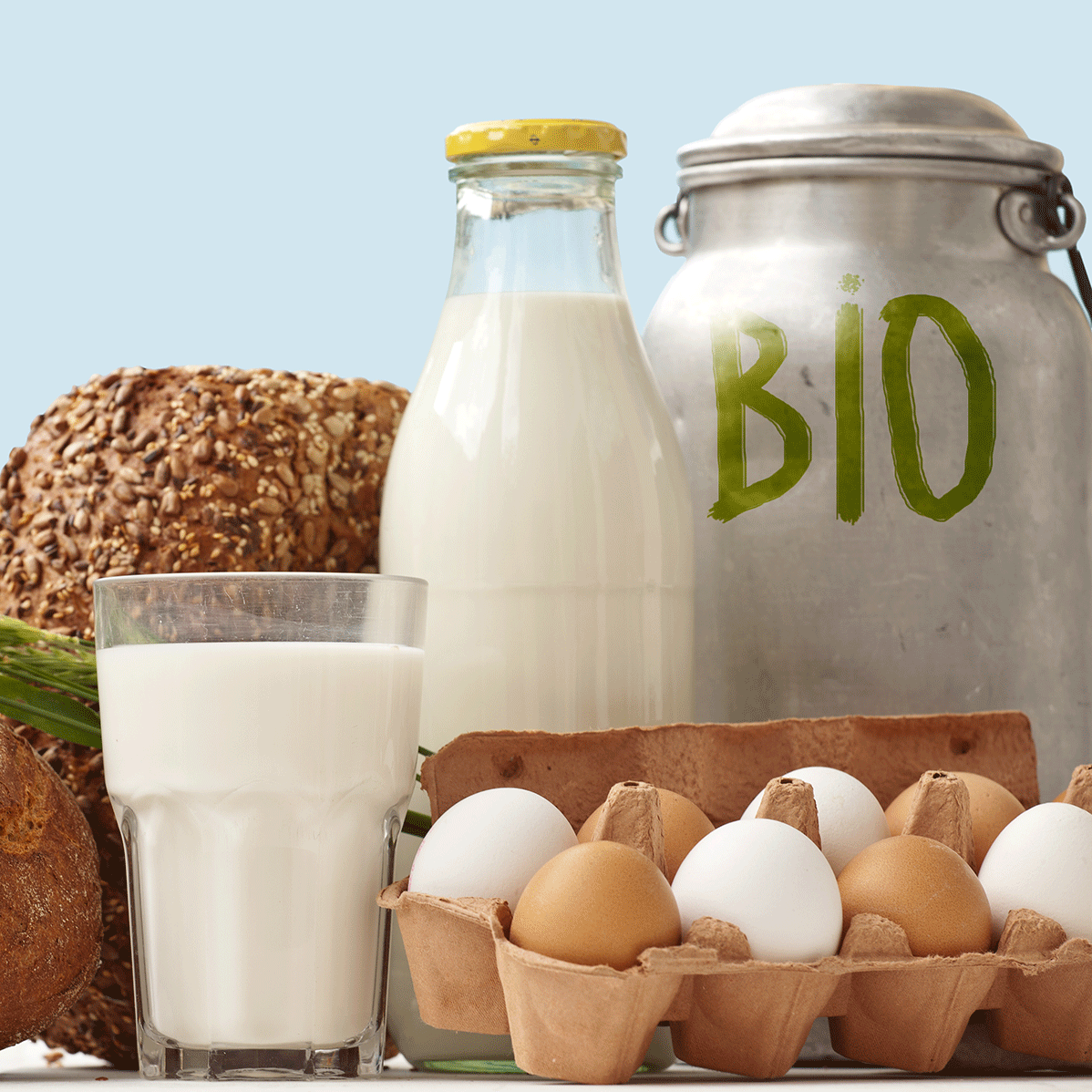 Eine Auswahl an Bio Lebensmitteln, darunter Milchprodukte, Snacks und Backwaren.