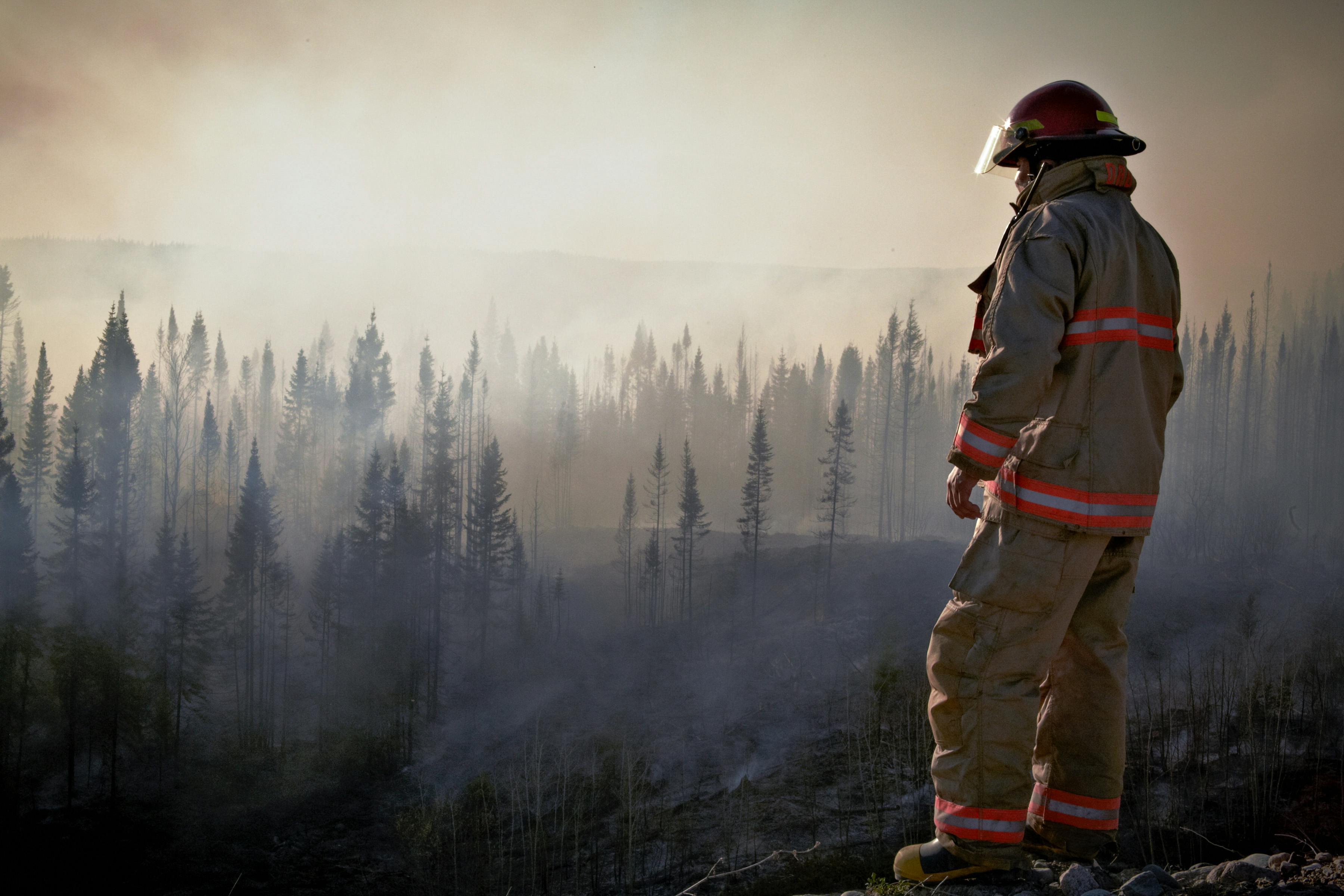 Ein Feuerwehrmann steht auf einem Felsen und blickt in einen Wald.