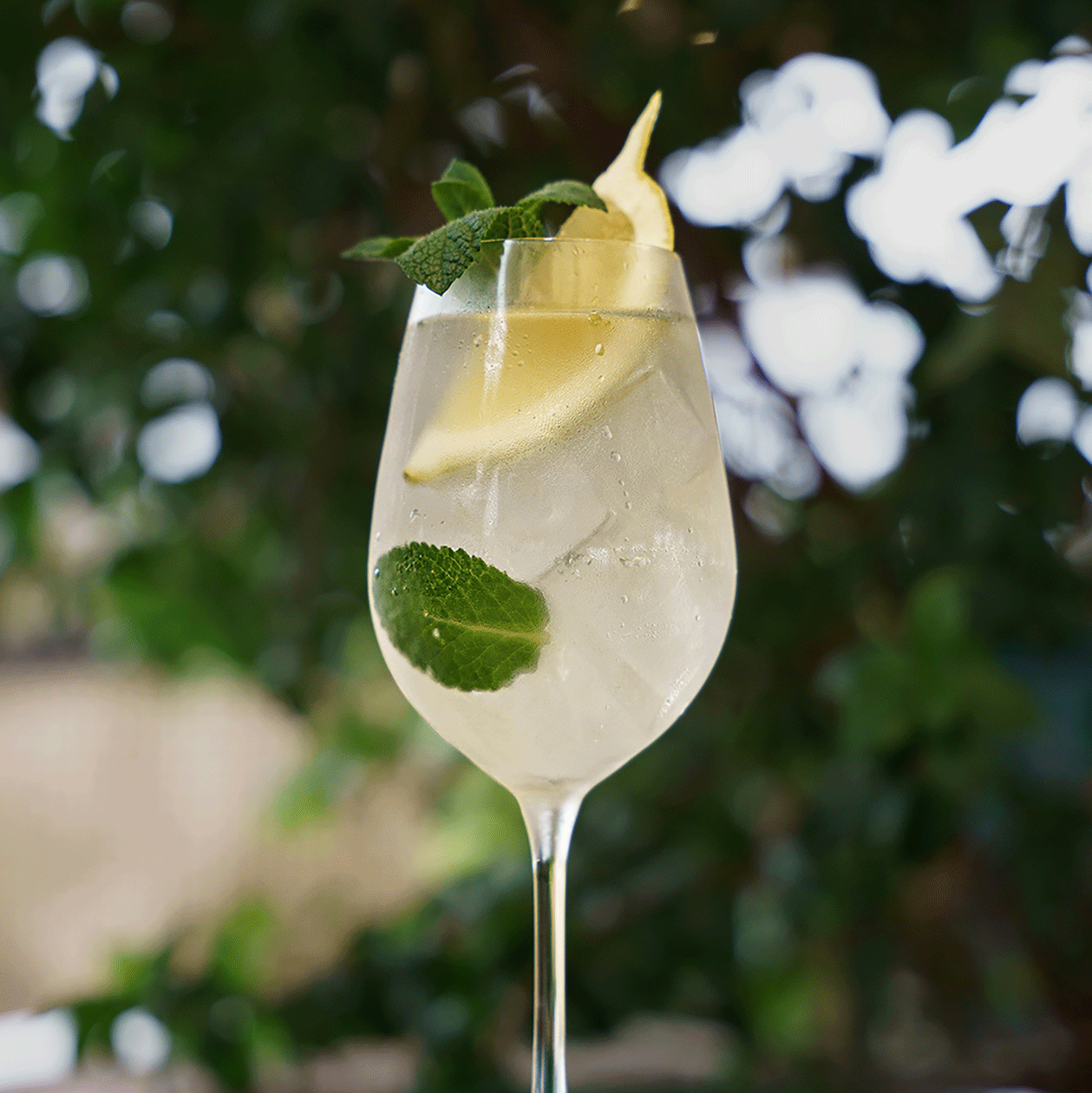 Zitronen Spritz im Glas vor Bäumen Zitronen Spritz im Glas vor Bäumen